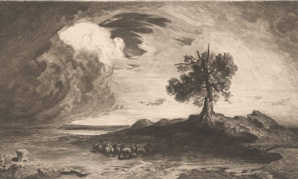 Ochrana životného prostredia v roku 2025: Európu čaká extrémne počasie aj nové pravidlá  