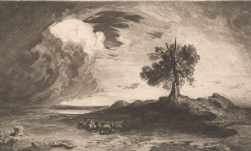 Ochrana životného prostredia v roku 2025: Európu čaká extrémne počasie aj nové pravidlá  