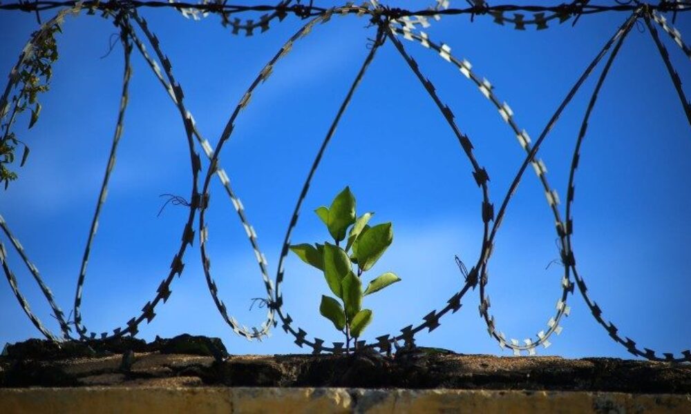 Nádej Jubilejného roka sa stáva konkrétnou