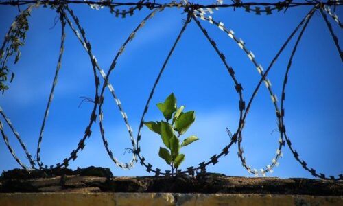 Nádej Jubilejného roka sa stáva konkrétnou