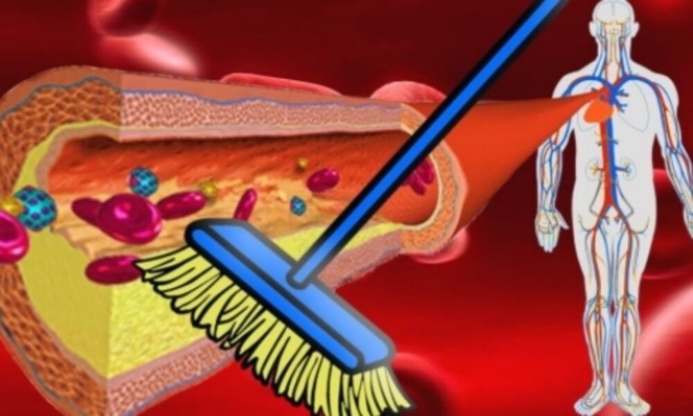 18 super potravín, ktoré veľmi účinne dokážu prečisťovať cievy a chránia pred infarktom. Ich konzumácia dokonca aj predlžuje život