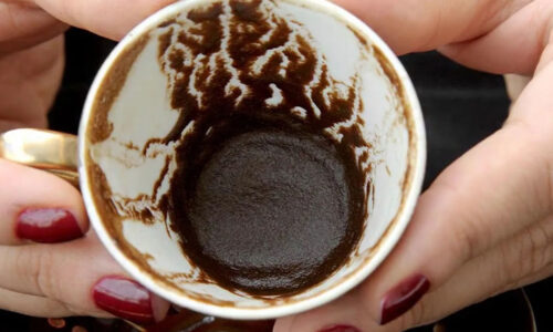 Zázračná sila kávovej usadeniny! Týchto 10 rastlín ju miluje a odmení sa vám bohatým rastom a kvetmi. Máte ich aj vy doma?