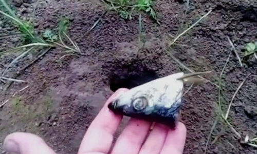 Účinný trik, ktorý udrží krtka mimo vašej záhrady! Táto metóda má však svoje háčiky a nie všetci majú na to žalúdok