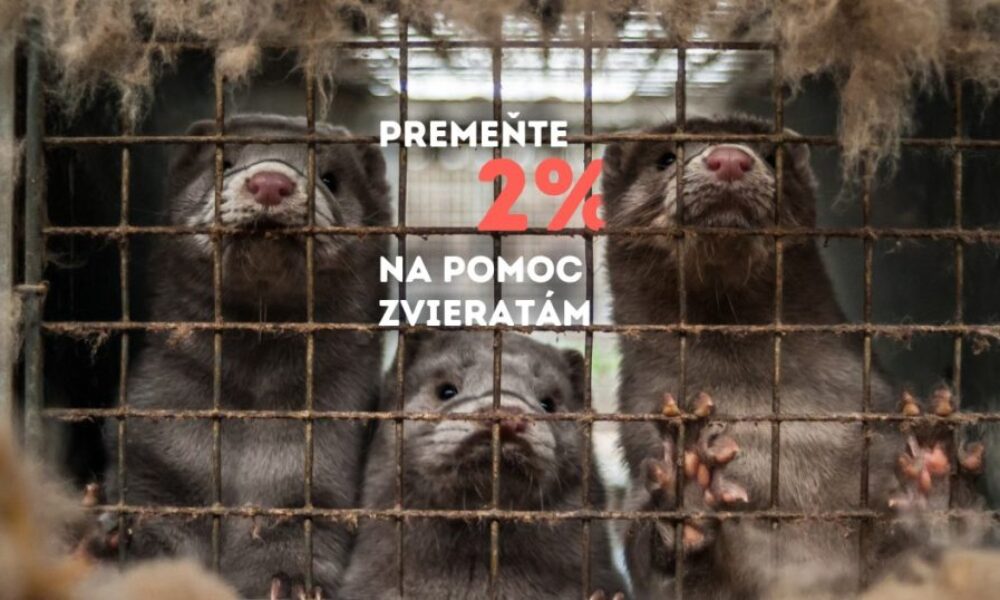 2% pre Humánny pokrok [Komerčný obsah]