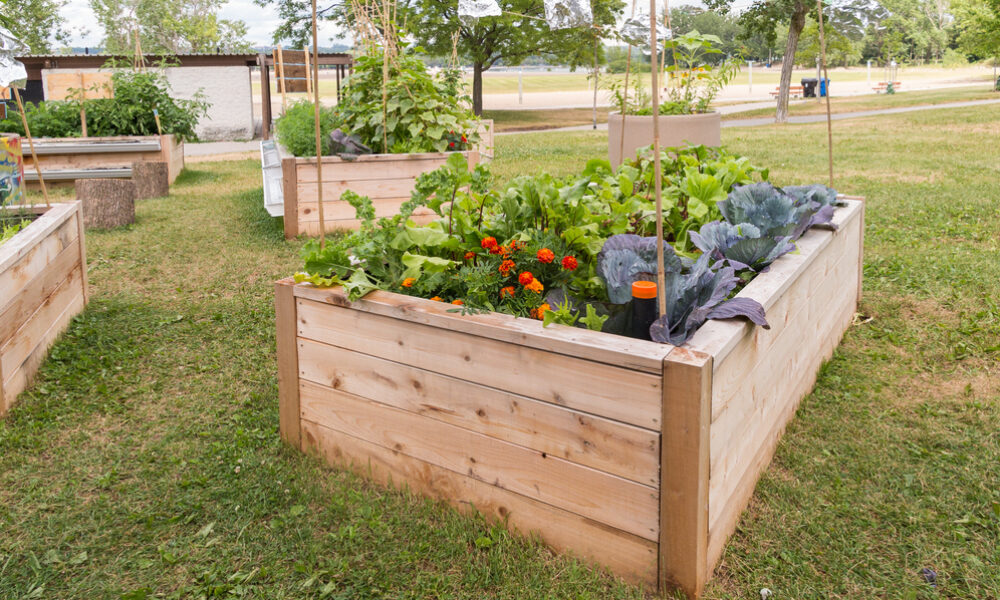 Ako urobiť vyvýšený záhon svojpomocne?