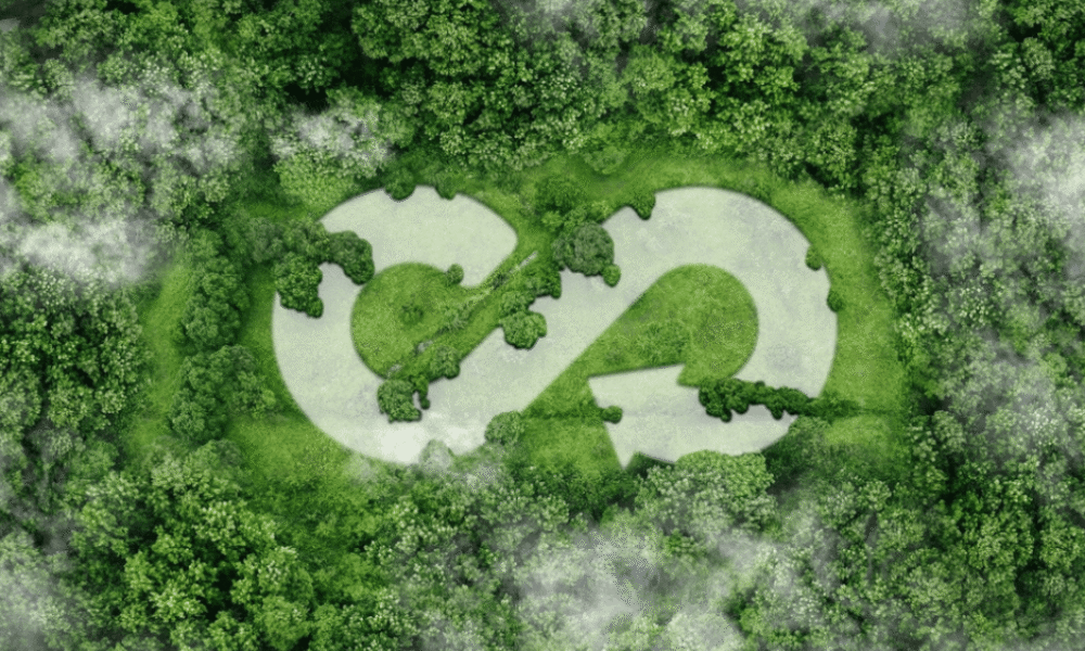 Čo je cirkulárna ekonomika a ako funguje?