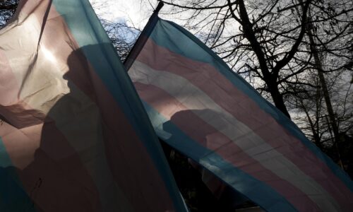 RFK Jr. announced a directive on medical care for transgender youth. 19 attorneys general sued to stop it