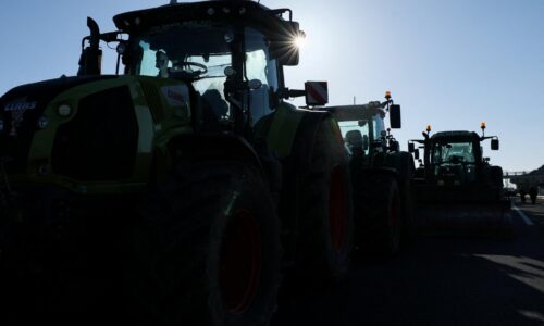 Francúzski farmári pokračujú v protestoch proti likvidácii svojich stád dobytka