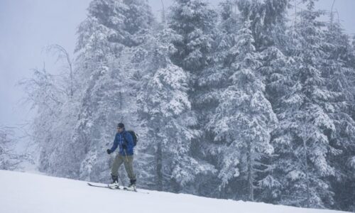 Zmrzlé Česko zasype další sníh. Ledové dny nekončí: Mapa ukazuje, jak bude u vás