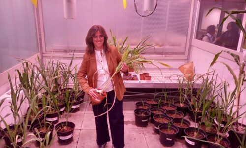 REPORTÉR HN NA CESTÁCH: Katalánci chcú byť technologickou špičkou. Lákajú vedcov z USA, ktorých sklamal Trump