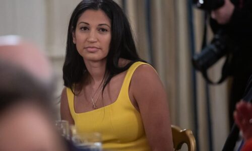 Denmark rankles at MAGA post on Greenland after Trump’s Venezuela operation – POLITICO