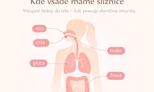 Slizničná imunita: kde sa v skutočnosti rozhoduje o našej odolnosti