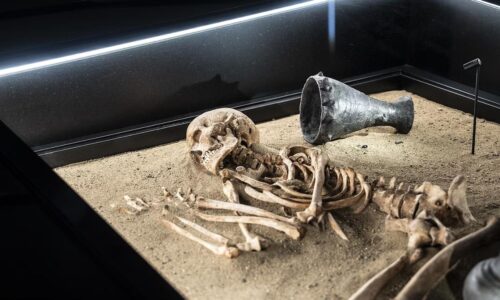 Zabudnite na Lucy. Slávna pramatka ľudstva padá, na jej miesto sa derie nový praotec