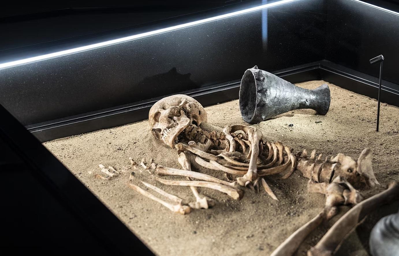 Zabudnite na Lucy. Slávna pramatka ľudstva padá, na jej miesto sa derie nový praotec