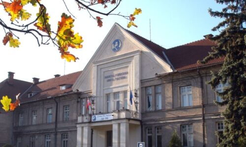 Novorozenci Saxana či Tupak. Košická porodnice zveřejnila jména, která rodiče dávali dětem