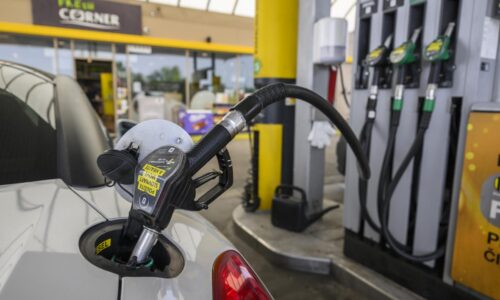 Ceny palív sa začiatkom roka stabilizovali. Ďalší týždeň môžu mierne klesnúť, predpokladá analytik