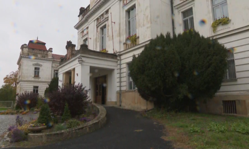 Cizince, který vraždil v Praze, chce žalobce vyhostit. Muž opakovaně utekl z léčebny