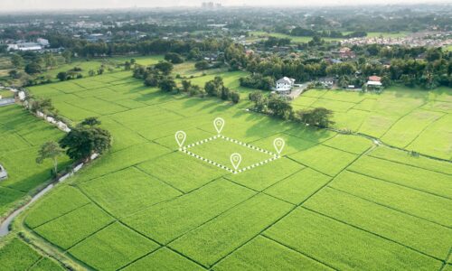 Stavebný pozemok, orná pôda či les. Čo kúpiť ako investíciu?