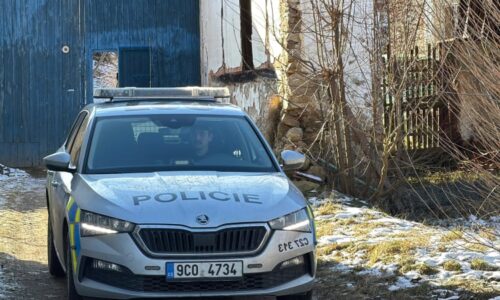 Odříznu vám hlavu zaživa, vyhrožoval muž. Strážník nekompromisně zasáhl, ukazuje video