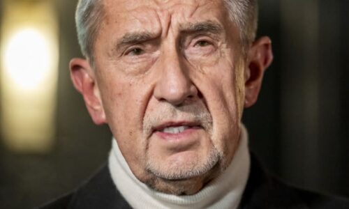 Babiš bojuje s nemocí. Chci pracovat, ale ne řešit výroky Okamury či Macinky, řekl rázně