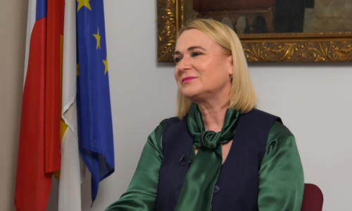 Černochová: Babišův kabinet se rozpadne, je jako pytel blech. Čeká nás menšinová vláda