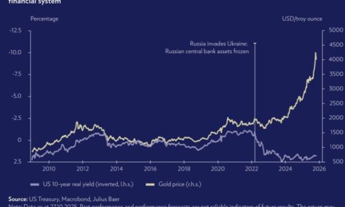 Ako špeciálna vojenská operácia likviduje dominanciu dolára