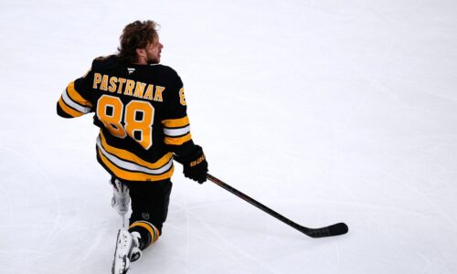 Vyhlásili hviezdy týždňa NHL. Sú medzi nimi aj dvaja českí reprezentanti