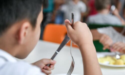 Vojtěchův poradce: Reforma školních jídelen? Je tu tlak na zrušení. Babiš už s plány couvá