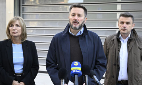 Starostka Karlovej Vsi Dana Čahojová sa bude uchádzať o post primátorky Bratislavy Starostka Karlovej Vsi Dana Čahojová sa bude uchádzať o post primátorky Bratislavy