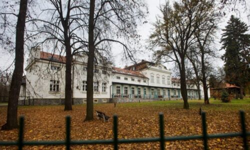 Nepříčetného vraha z Bohnic poslal soud do detence. Dvakrát utekl z psychiatrické nemocnice