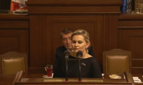 Dusno ve Sněmovně: Za taková slova bych své děti přerazila, reagovala Malá na výroky Hřiba