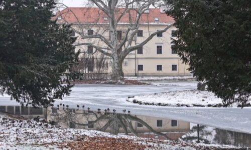 Ako v rozprávke. Stupavský kaštieľsky park pod snehom