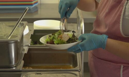 Nové školní stravování? Bez peněz navíc těžko, zní z regionů. Odpůrci argumentují výzkumem