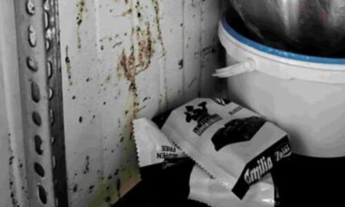 Plíseň v lednici i kouření v kuchyni. Podívejte se, proč česká inspekce zavírala restaurace