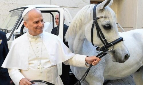 Od Noemovej archy po holubicu: zvieratá v úvahách pápežov