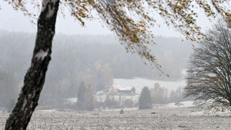 Česko vymete silný vítr, platí VÝSTRAHA. Teploty opět klesnou, podívejte se, kdy udeří mrazy Česko vymete silný vítr, platí VÝSTRAHA. Teploty opět klesnou, podívejte se, kdy udeří mrazy