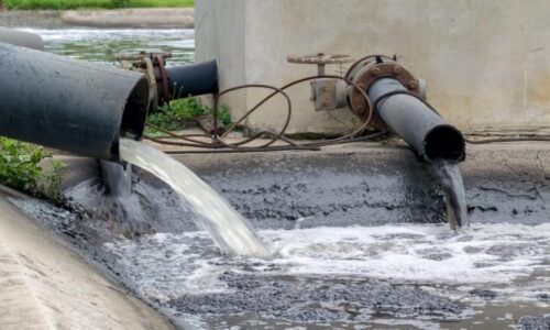 Ekologická katastrofa na Znojemsku: Příval kejdy zasáhl několik aut a znečistil Dyji