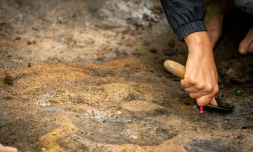 Přelomový objev z Moravy: Rytina z doby ledové přepisuje podle vědců mapu jeskynního umění