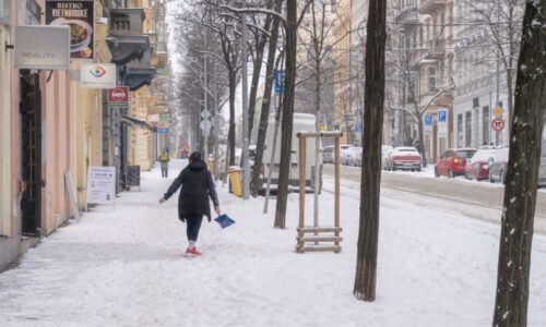 RADAR: Zima si bere na chvilku oddech, sníh se ale hned vrátí. Podívejte se, kdy a kde napadne