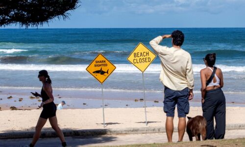 Na východnom pobreží Austrálie žralok napadol štvrtého človeka za 48 hodín