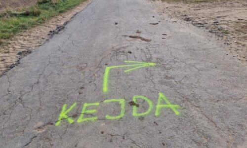 Kejda zamořila Národní park Podyjí. Experti v řece naměřili až čtyřnásobek škodlivin