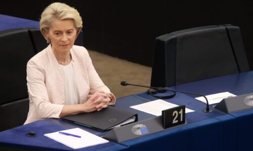 Mercosur trade deal splits EU Parliament in half – POLITICO