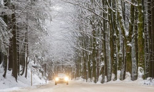 Sledujte RADAR: Do Česka se už brzy vrátí sníh. Podívejte se, kde ho napadne nejvíc