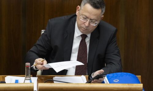 Vládny audit dotácii a grantov: Kamenického rezort odhalil nedostatky za viac než 236-tisíc eur