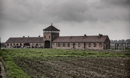 Na svete stále žije asi 196 600 preživších holokaustu. Približne polovica je v Izraeli