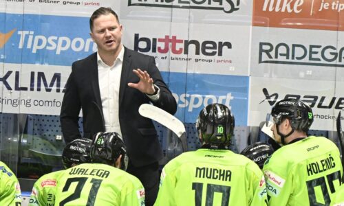 Útočník s českým aj slovenským občianstvom opustil Žilinu. Vlci dostali za neho peniaze