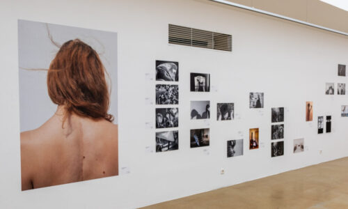 AMFO 2026 v Bratislavskom kraji: fotografia ako priestor pre slobodu