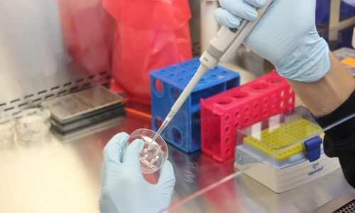 Davoské elity požadují, aby vlády zakázaly skutečné maso a vnucovaly masám „povinné“ laboratorně pěstované blafy