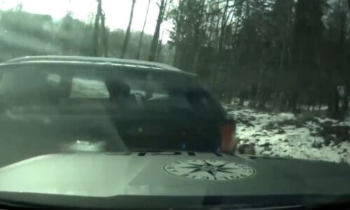 Záběry zběsilé policejní honičky: Ujíždějícího řidiče zastavil až pit manévr a hrozba zbraní