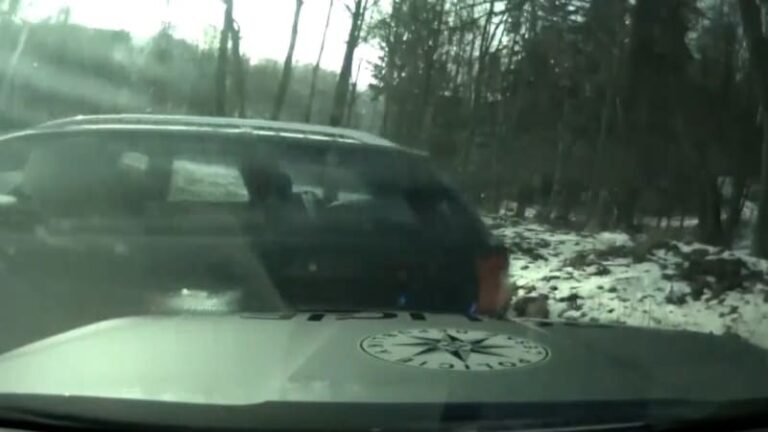 Záběry zběsilé policejní honičky: ujíždějícího řidiče zastavil až pit manévr a hrozba zbraní